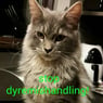 mikkel09