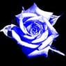 poppalle