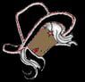 cassandre