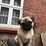 loke191020