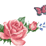 pinky90