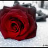 VampyreAngel