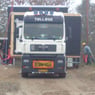 mbj81