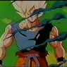 GokutoVegeta