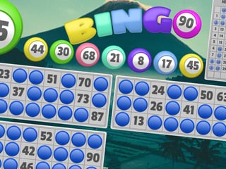Bingo 90 screenshot 1