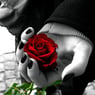 Trinse