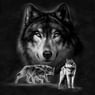 Fenris42