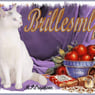 Brillesmlf