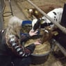jerenia18