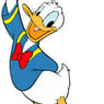 Hanne5000