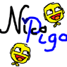 NicoPigo