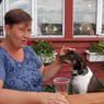 Isgnaskeren