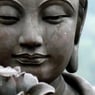Buddhine