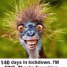 alex120