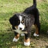 Nellie08