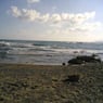 Thalassa