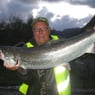 tulltull