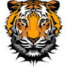 grrxtiger