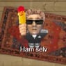 hamselv4