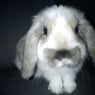 phillip02