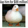 N0ah