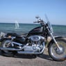 harley67