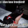 Radovci