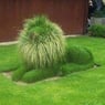 peterag6