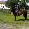 lensgreven