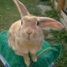 Sally0904