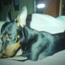 baby2100