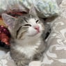 MinoBaby