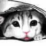 Qdin