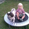 liper2010