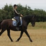 7500pigen