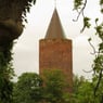 MissEverton
