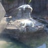 Icebear86