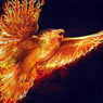 Phoenix87