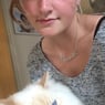 Fogten