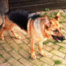Security