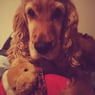 magic04