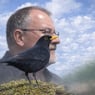BlackBirdSing