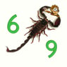 skorpio69