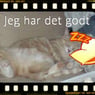 skolepige21