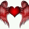LOVEWINGS