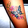 delfinen18