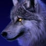 XMAN