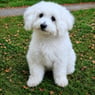 winnie1964