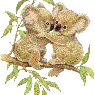 janni00