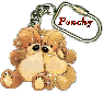 Ponchy